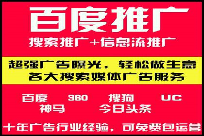 竞价广告的投放策略与效果评估——以一成功企业为例